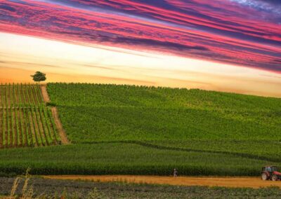 fotografo aziende vinicole